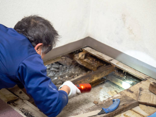 Best Bathroom Mold Remediation in Fort Mckinley, OH