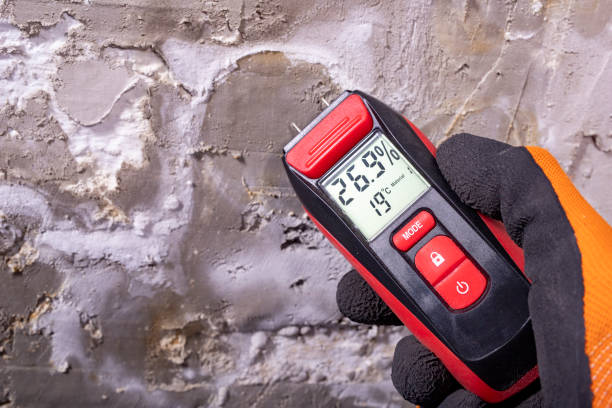 Best Mold Testing and Inspection Services in Fort Mckinley, OH