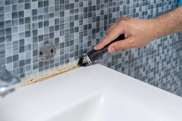Best Industrial Mold Remediation in Fort Mckinley, OH